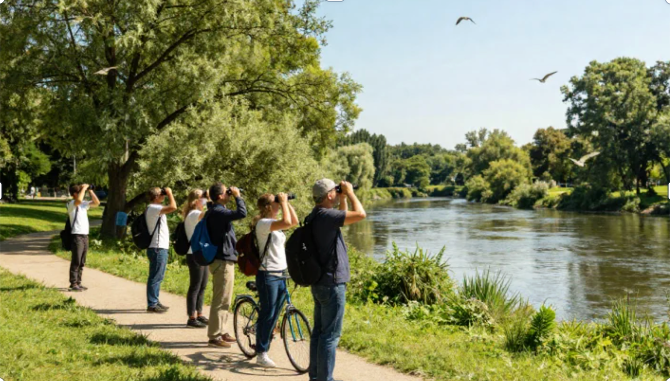 _Home – Mindfulness Outdoors