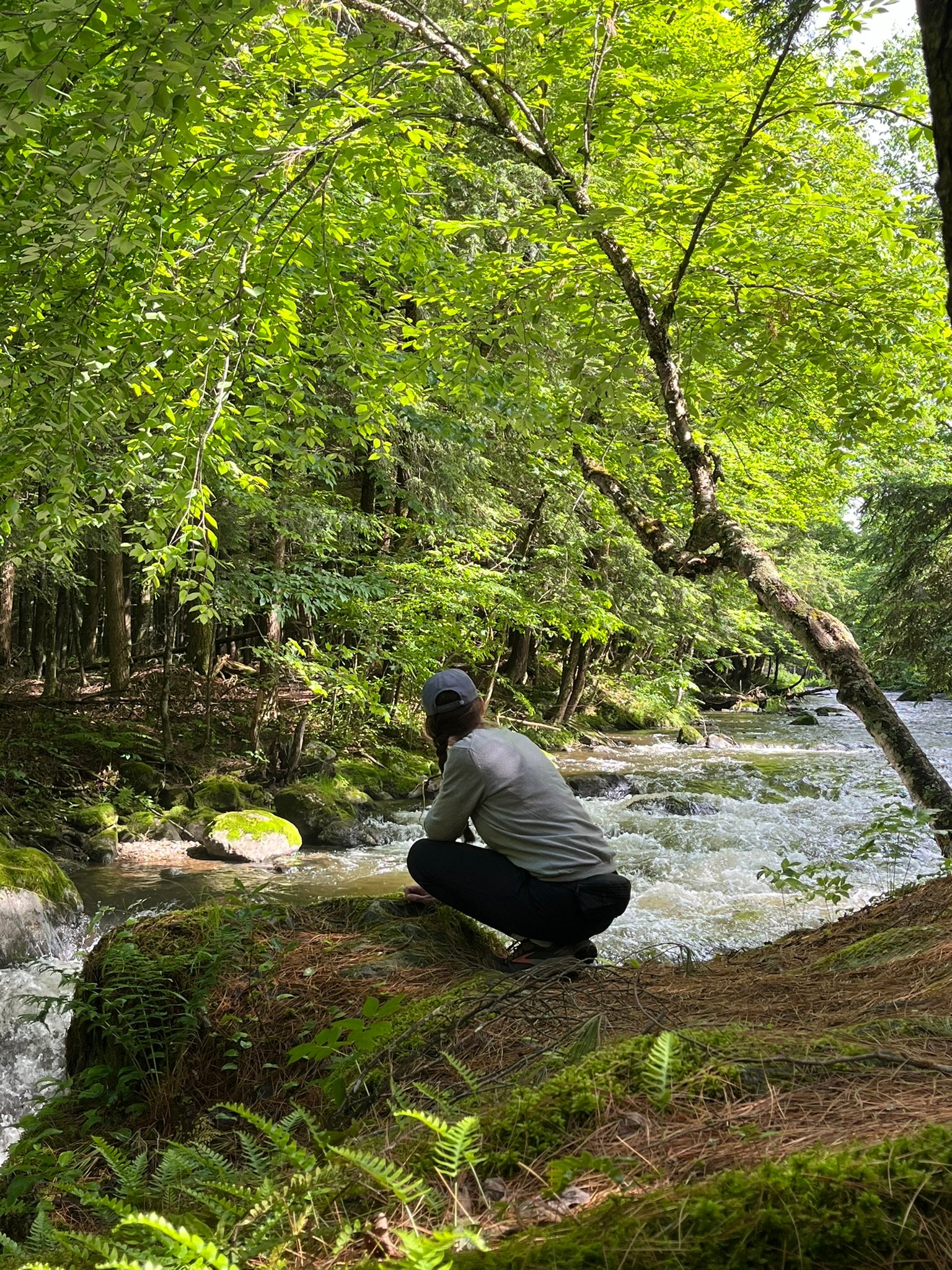 _Home – Mindfulness Outdoors