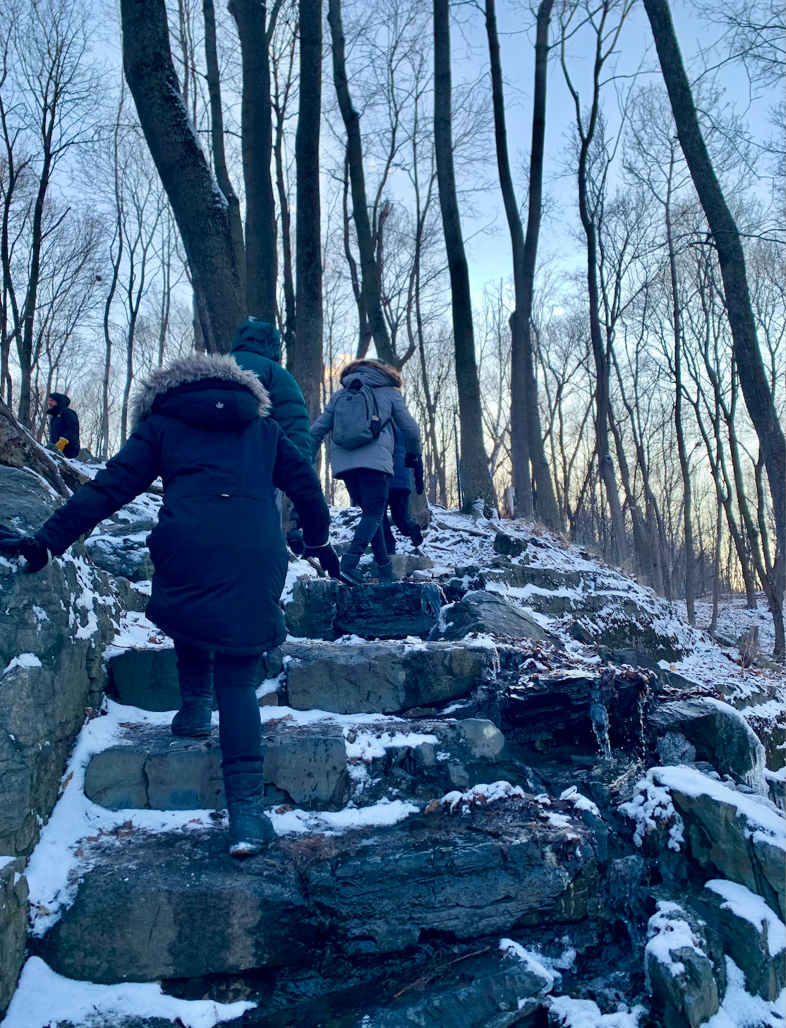 _Home – Mindfulness Outdoors